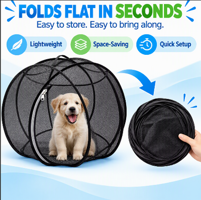 RollyWoof™ — Let Your Puppy Explore