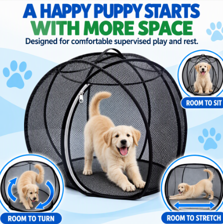 RollyWoof™ — Let Your Puppy Explore